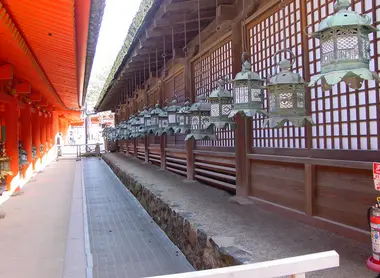Le lanterne del Kasuga Taisha Le lanterne del Kasuga Taisha
