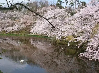 L'étang du parc Oku utatsuyama kôen à Kanazawa L'étang du parc Oku utatsuyama kôen à Kanazawa