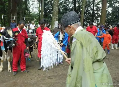During July in Miyazaki (Kyushu) the Ushigoe festival takes place  During July in Miyazaki (Kyushu) the Ushigoe festival takes place