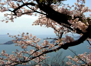 Vista del mar de Seto y los cerezos en flor desde Iwagi, pueblo Kamijima. Vista del mar de Seto y los cerezos en flor desde Iwagi, pueblo Kamijima.