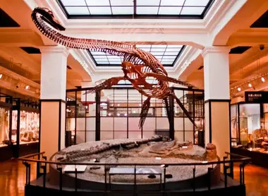 Muséum d'histoire naturelle d'Ueno Muséum d'histoire naturelle d'Ueno