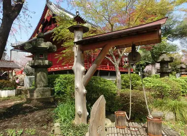 puits-shushiki-sakura puits-shushiki-sakura