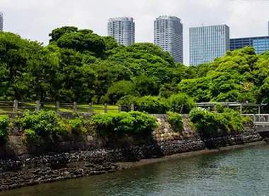 Les jardins de Hama-Rikyu vus du Cosmo