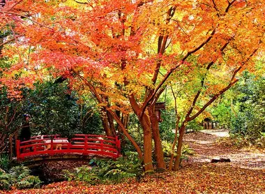 Vallée Todoroki Vallée Todoroki