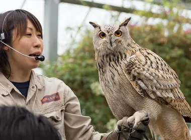 Kobe animal kindgom Kobe animal kindgom