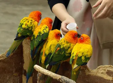 Kobe animal kindgom Kobe animal kindgom