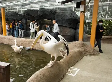 Kobe animal kindgom Kobe animal kindgom