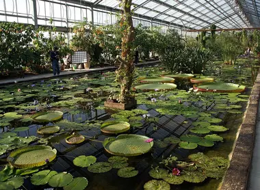 Kobe animal kindgom Kobe animal kindgom