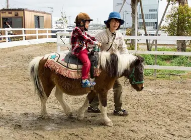 Kobe animal kindgom Kobe animal kindgom