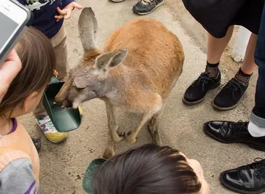 Kobe animal kindgom Kobe animal kindgom