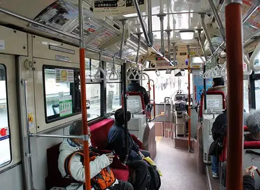 bus bus
