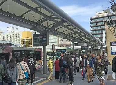 bus bus
