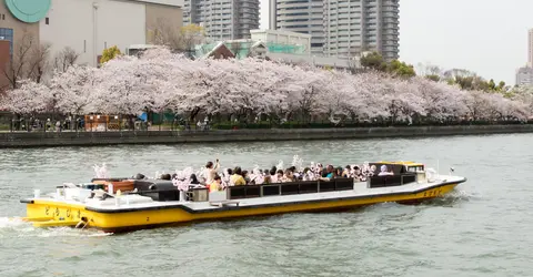 Promenade en bateau, le long du parc Kema sakuranomiya à Osaka