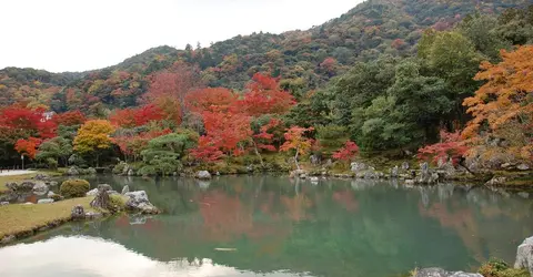 Le kôyô au temple Tenryuji à Arashiyama