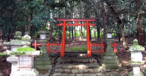 Torii du Wakamiya jinja de Nara