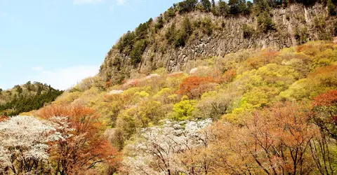  Byobu iwa au printemps à Soni