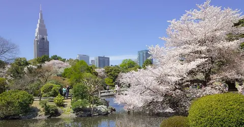 Shinjuku Gyoen National Garden