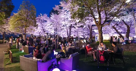 Tokyo Midtown est un endroit de choix pour célébrer yozakura à Roppongi