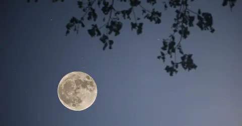 O-Tsukimi, la fête de la lune au Japon