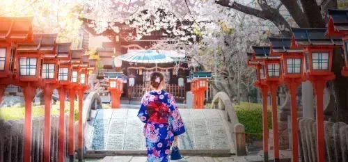 Mujer japonesa bajo los cerezos en flor (sakura) en un santuario de Kioto