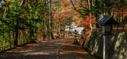 Momiji at Takayama - Gifu