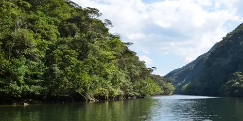 L'isola di Iriomote è uno degli ultimi paradisi selvaggi del Giappone