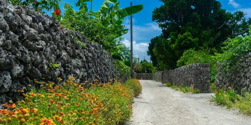 Il villaggio dell'isola di Taketomi, nell'arcipelago di Okinawa, è da esplorare in bicicletta oa piedi.