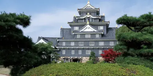 Okayama castle, the Black "castle", close to Korakuen garden