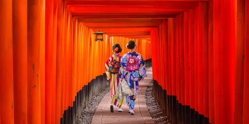 Facile accesso a Kyoto con un pass illimitato per treni, metropolitana e autobus!