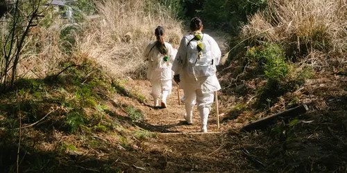 Pilgrims walking down the Kumano Kodo