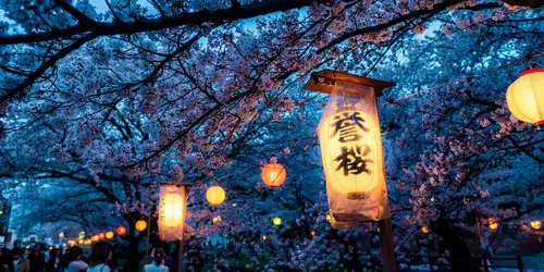 lamp and sakura - Kawagoe