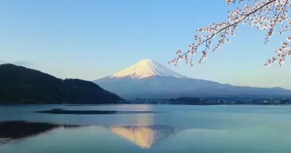 Le Mont Fuji pendant les cerisiers en fleurs