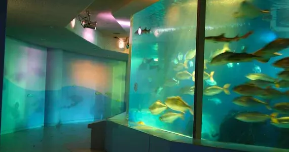 Acquario Miyajima