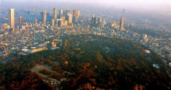 Avec ses 70 hectares, le parc Yoyogi est le poumon vert de Tokyo.