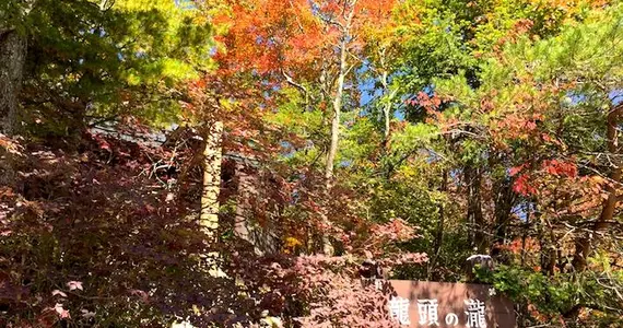 Las hermosas hojas en la garganta de Ryūzu, en Nikkō