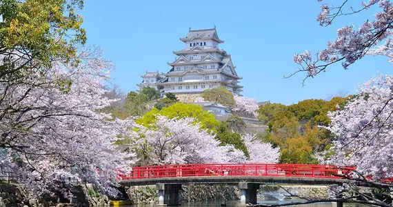 Le château de Himeji, le plus célèbre du Japon.