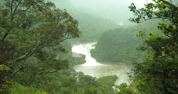 Les chutes Kampire, Iriomote