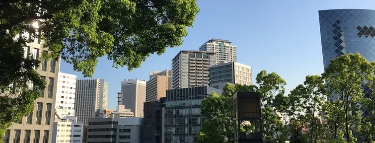 Trees in front of high buildings in Akasaka in Tokyo