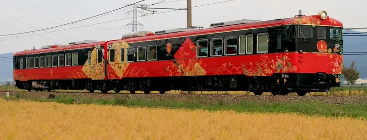 Hanayone-Noren train (JNTO) Hanayone-Noren train (JNTO)