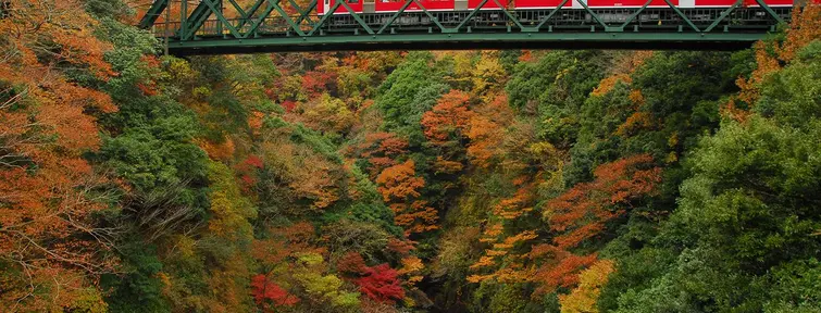 Le train de la ligne Hakone Tozan est accessible avec l'Hakone Free Pass Le train de la ligne Hakone Tozan est accessible avec l'Hakone Free Pass