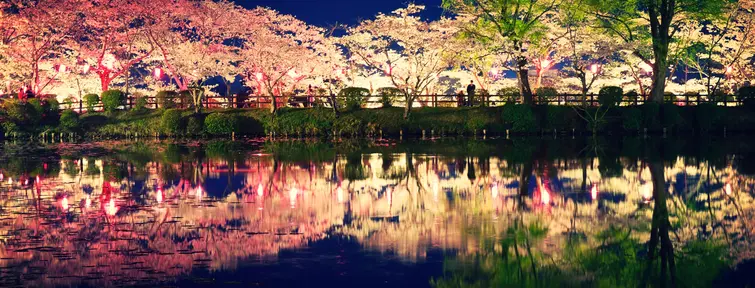 Cherry blossom night deals light