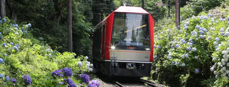 Hakone Tozan Line  Hakone Tozan Line