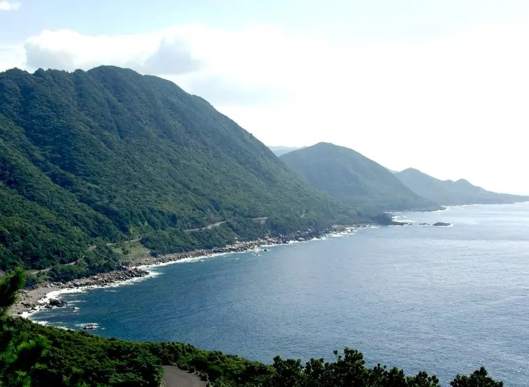 Yakushima Island | Japan Experience