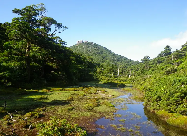 Yakushima Island | Japan Experience