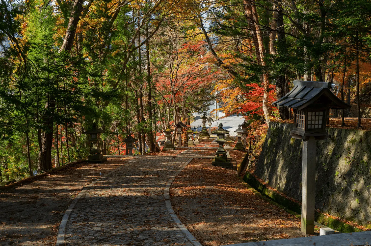 Momiji at Takayama - Gifu